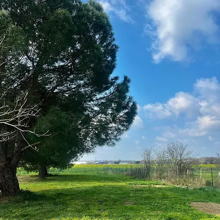 Appartement Confort - Proche Meett 300m *