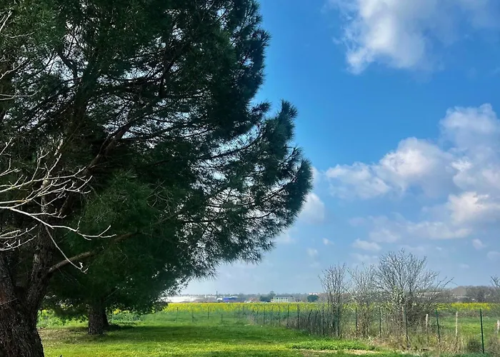 Appartement Confort - Proche Meett 300m *